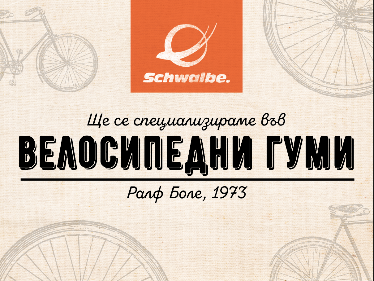 Историята на Schwalbe