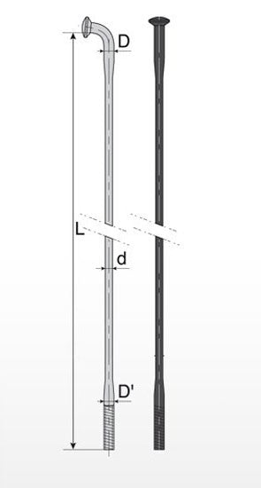 03005222