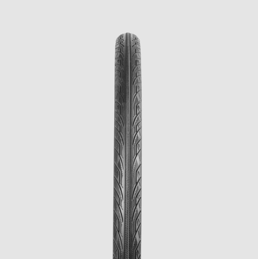 03005828